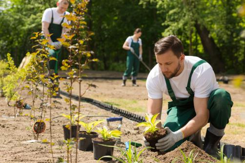 création-entretien jardins en France