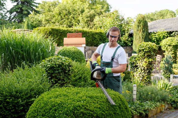 jardinier paysagiste en France