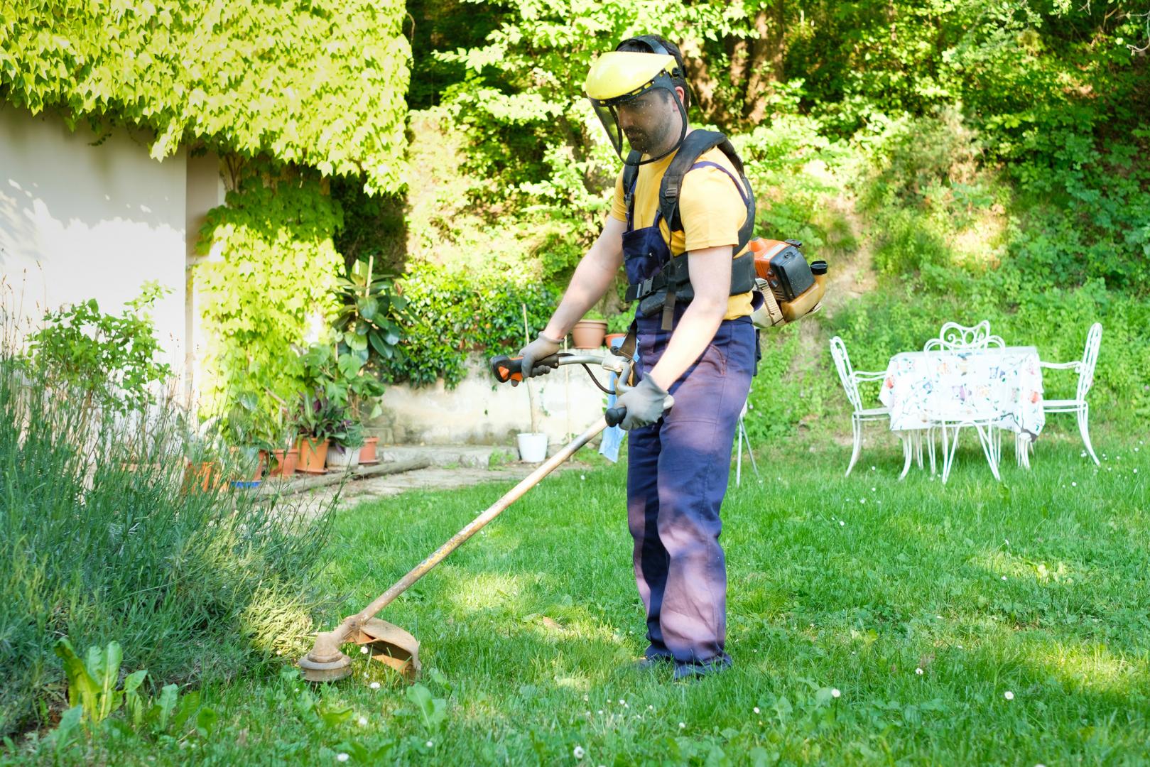 entretien de jardin en France